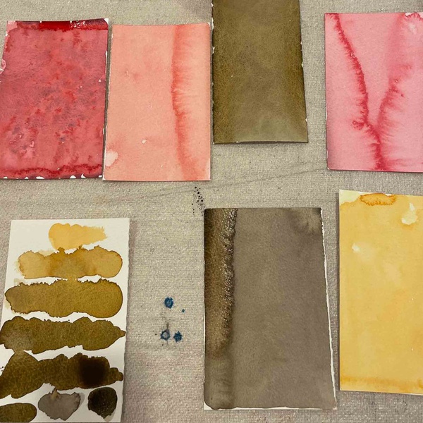RWS Summer School: Understanding Watercolour Paper & Brushes