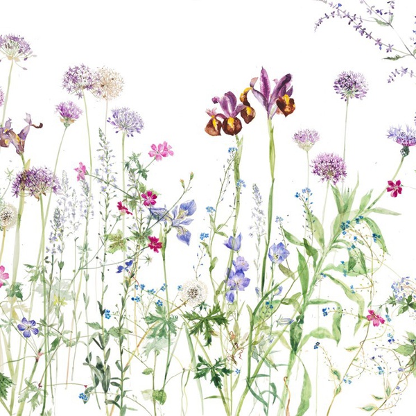 WORKSHOP: Plants & Flowers in Watercolour