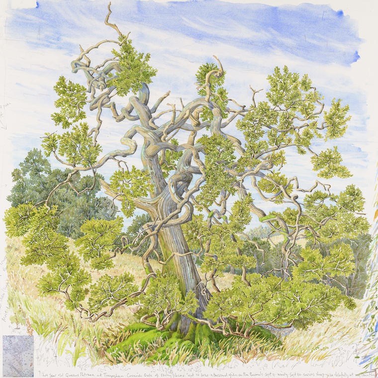 Exploring Time: A Painter's Perspective